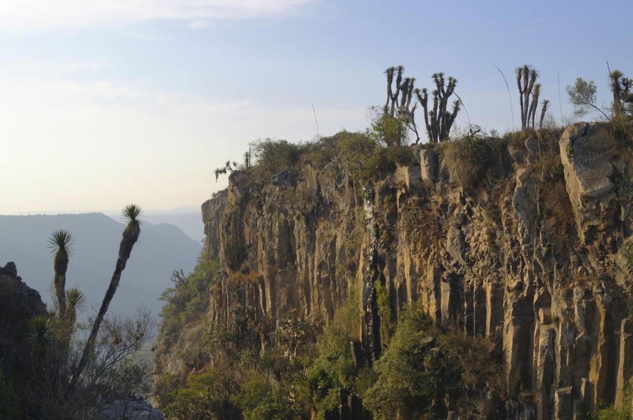 El Gato Glamping Con Vista A Prismas Basalticos Hotel กูอัสกา เด โอกัมโป ภายนอก รูปภาพ